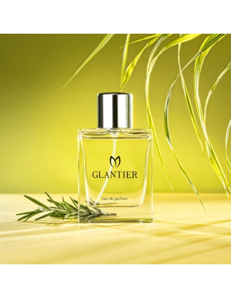Perfumy Glantier męskie -719  Aromatyczno-Zielone 50ml