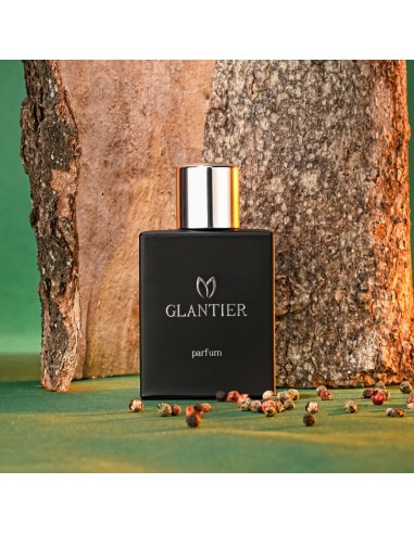 Perfumy Glantier Premium męskie - 718...