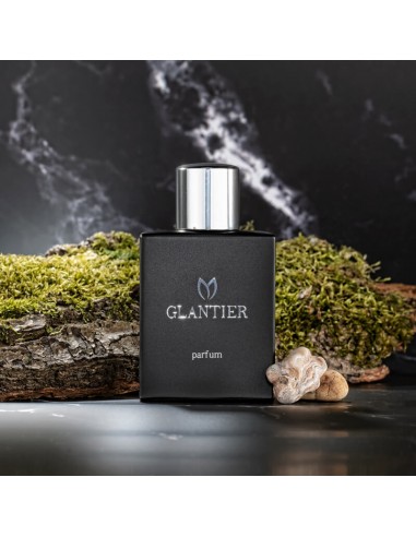 Perfumy Glantier Premium męskie - 706...