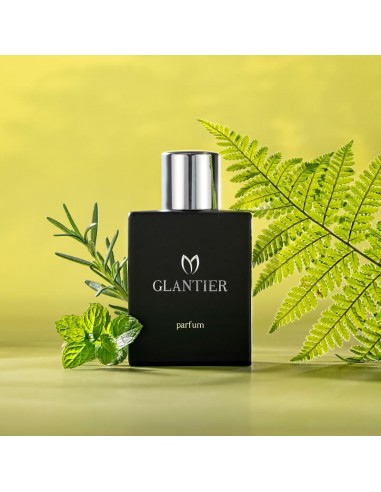 Perfumy Glantier Premium męskie - 777...