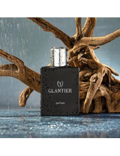 Perfumy Glantier Premium męskie - 724 Drzewno-Wodne 50ml 2