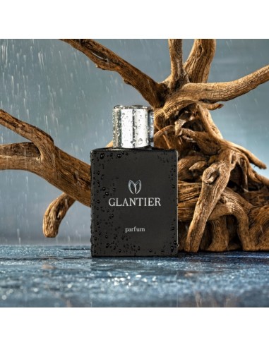 Perfumy Glantier Premium męskie - 724...