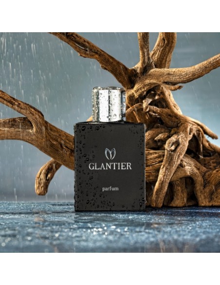 Perfumy Glantier Premium męskie - 724 Drzewno-Wodne 50ml