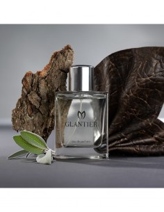 Perfumy Glantier męskie - 801 Skórzane 50ml 2