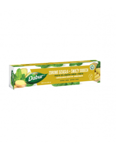 Dabur Pasta do zębów imbir i mięta 100 ml