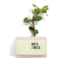 CZTERY SZPAKI  Mydło Mięta z Miętą 110g