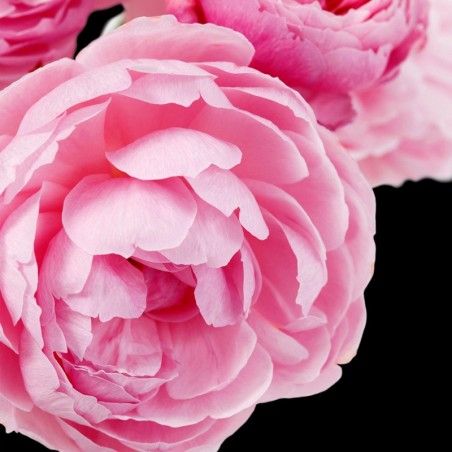 PERFUMY DAMSKIE YODEYMA PRIME 50 ML