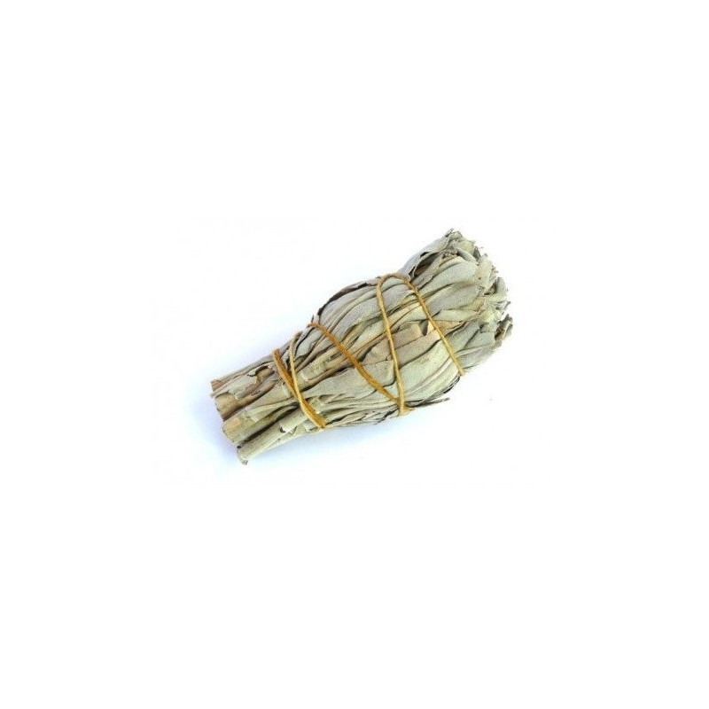 Biała szałwia kadzidło pęczek ok. 20g (pakowana...