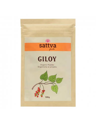 SATTVA FOODS GILOY POWDER PUDER 100G