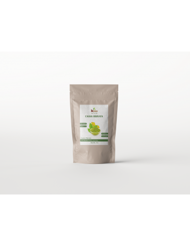 KVAAS CASSIA OBOVATA HENNA 100g