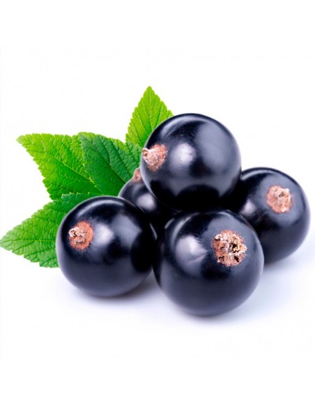 PERFUMY YODEYMA CELEBRITY WOMAN 50 ML