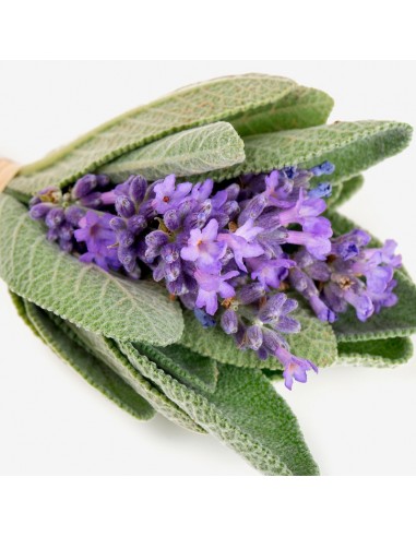 Perfumy Męskie YODEYMA Houston 50 ML