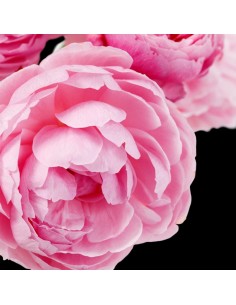 PERFUMY DAMSKIE YODEYMA DINARA 15 ML 2