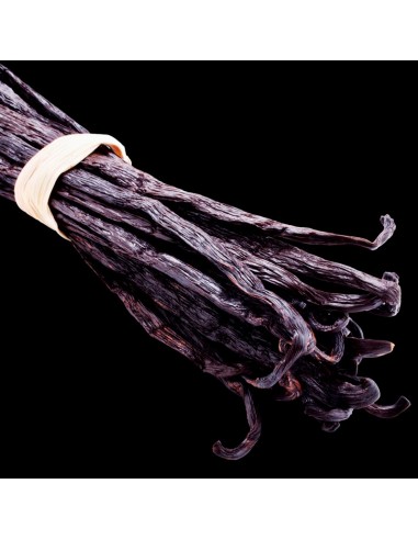 Perfumy damskie YODEYMA Lis 15 ML