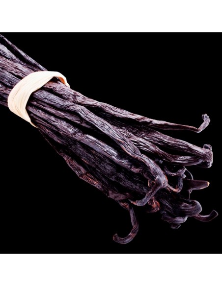 Perfumy damskie YODEYMA Lis 15 ML