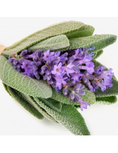 PERFUMY YODEYMA Houston 1,2 ML 2