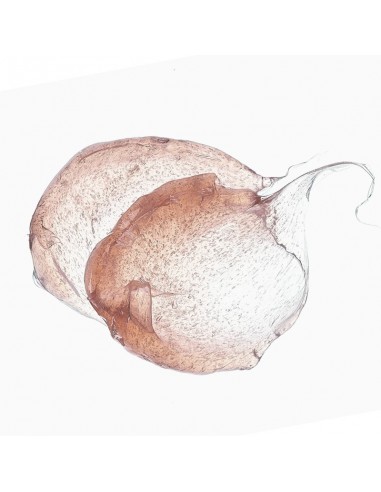 Yodeyma FLUID NAWILŻAJĄCY 50ML