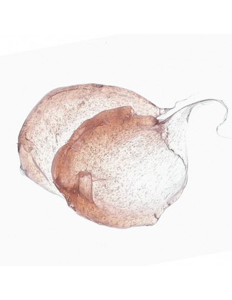 Yodeyma FLUID NAWILŻAJĄCY 50ML