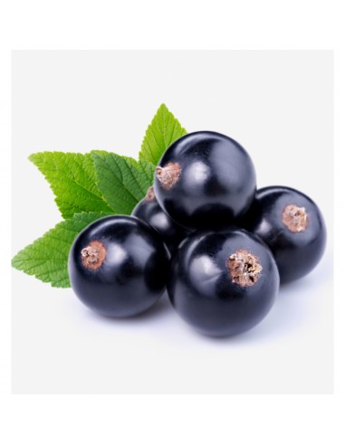 PERFUMY YODEYMA ADRIANA 100 ML