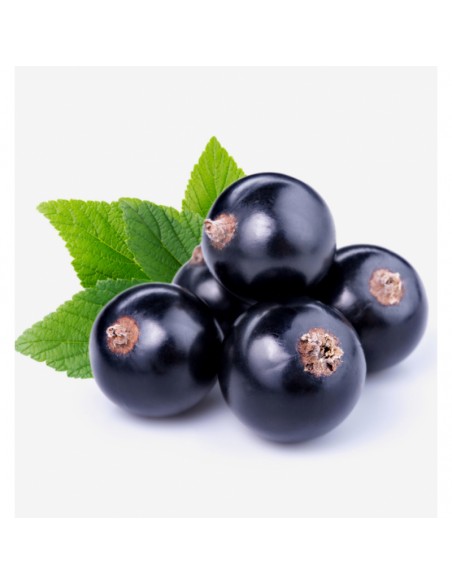 PERFUMY YODEYMA ADRIANA 100 ML